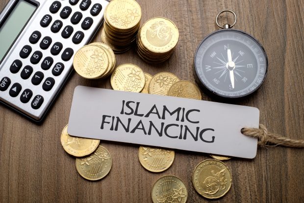 Islamic finance in the global economic system